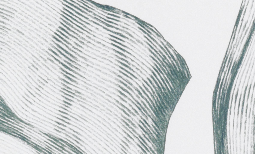 Blatt_7/07