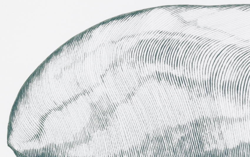 Form_13/08