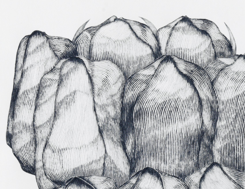 Form_1/07