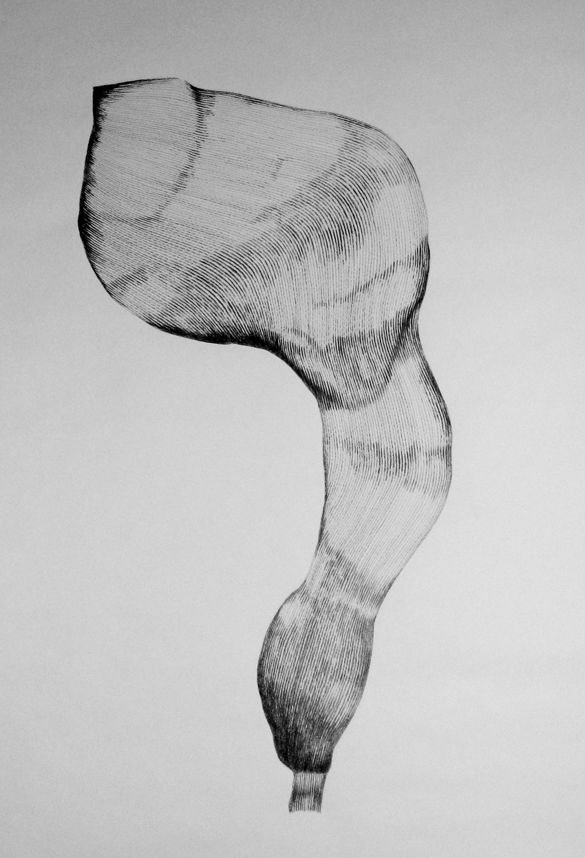 Form_1/08