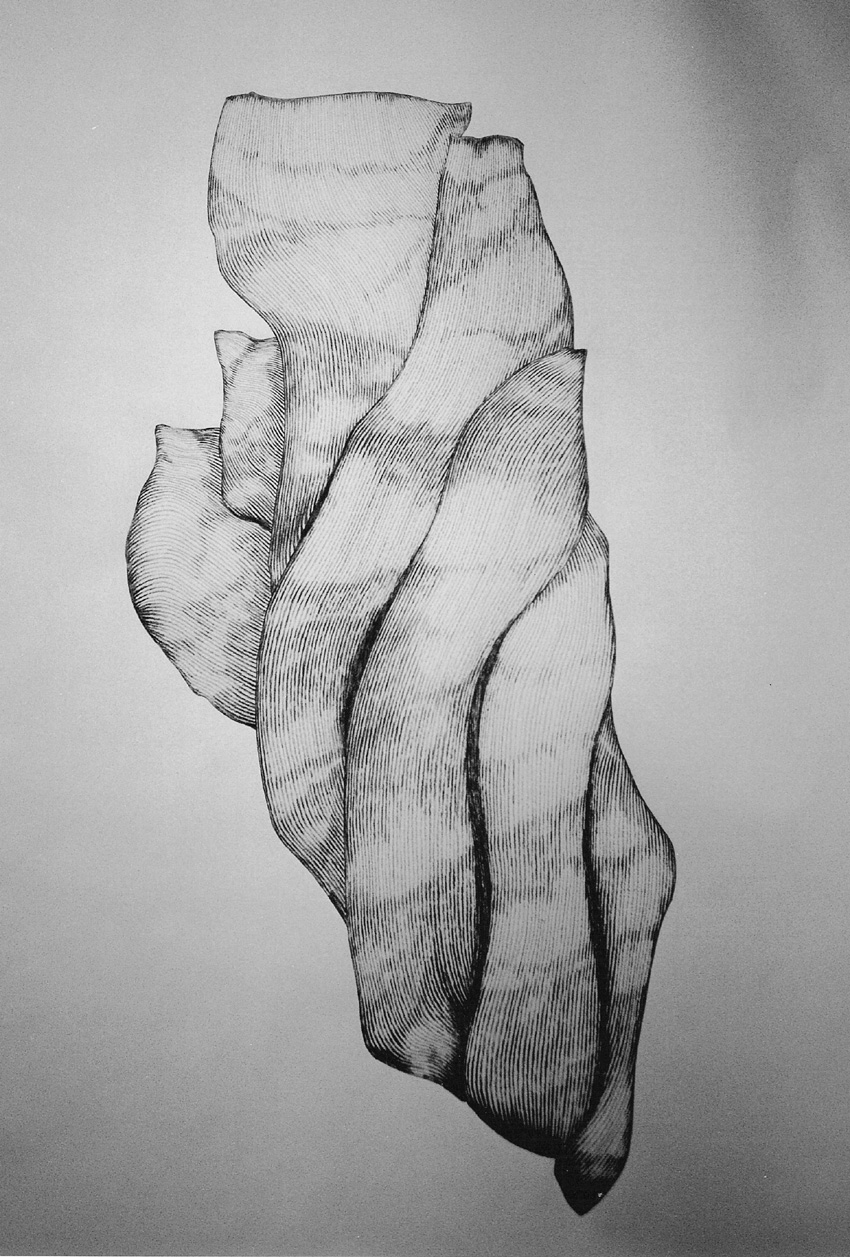 Form_21/07