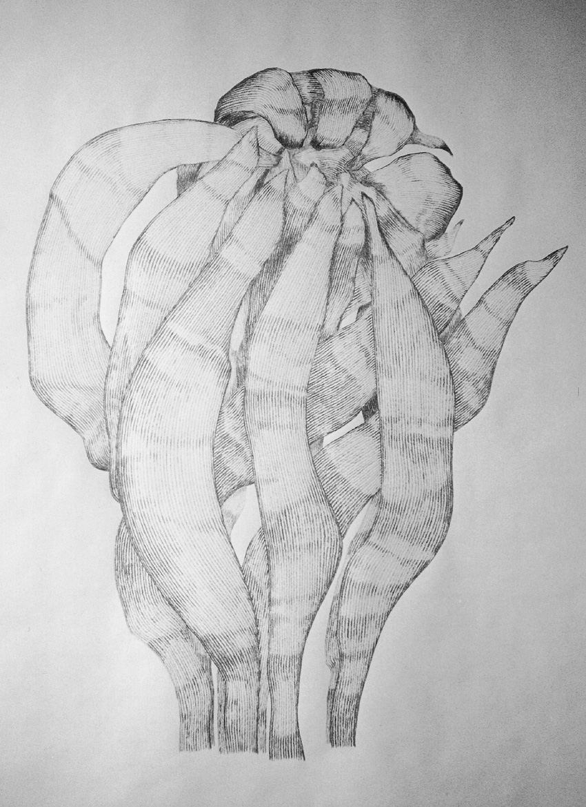 Form_23/07