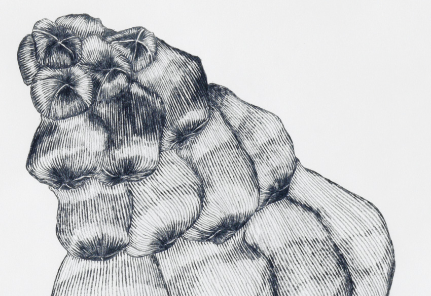 Form_6/07