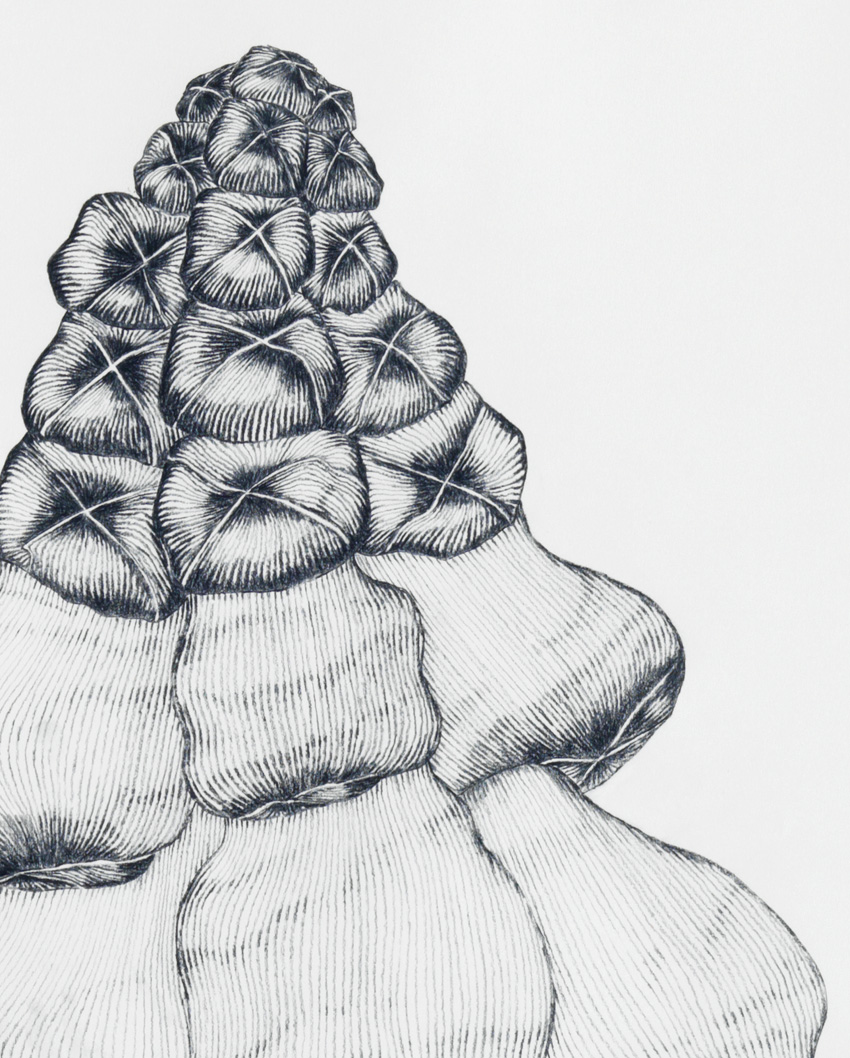 Form_7/07