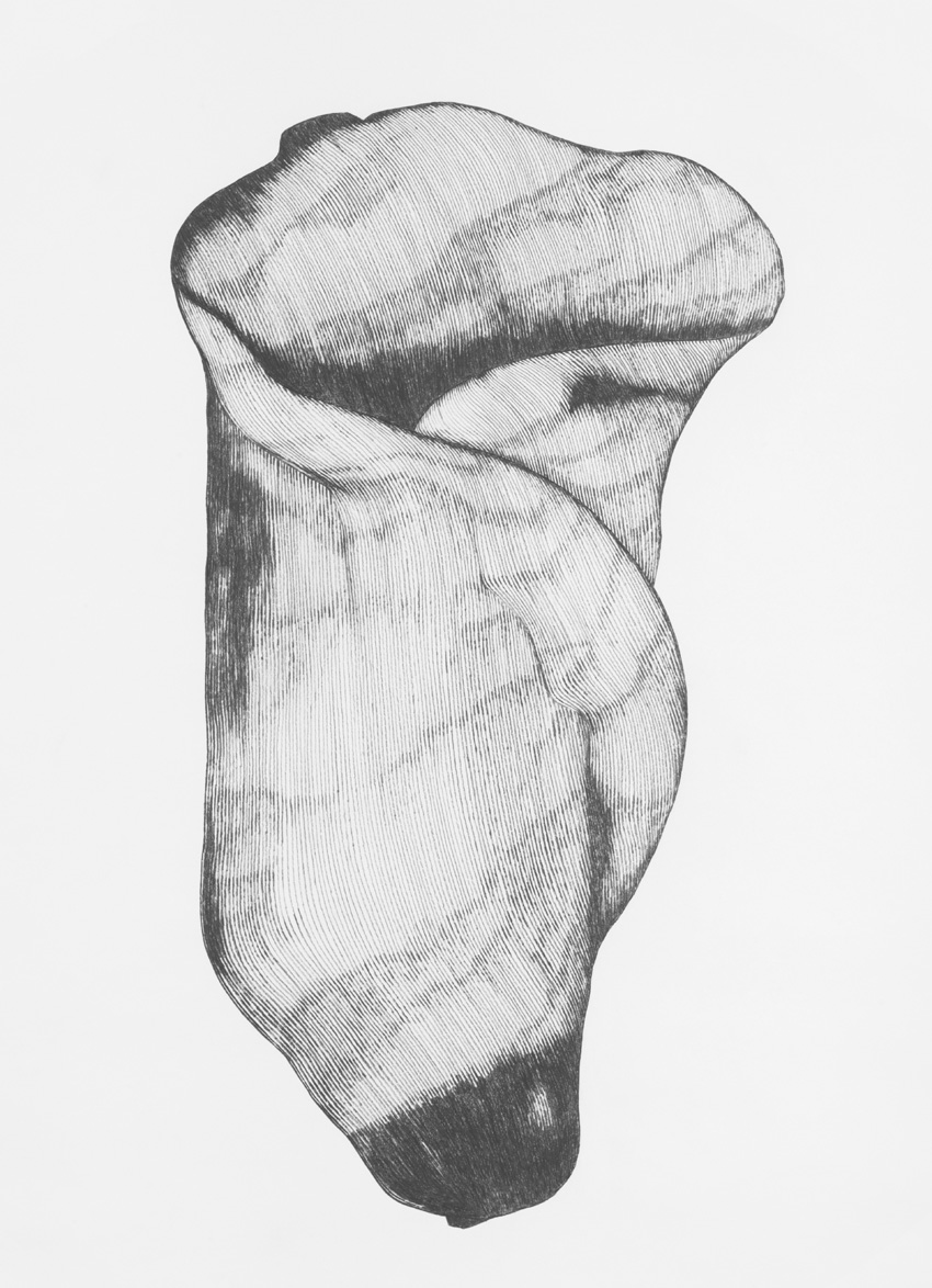 Form_8/08