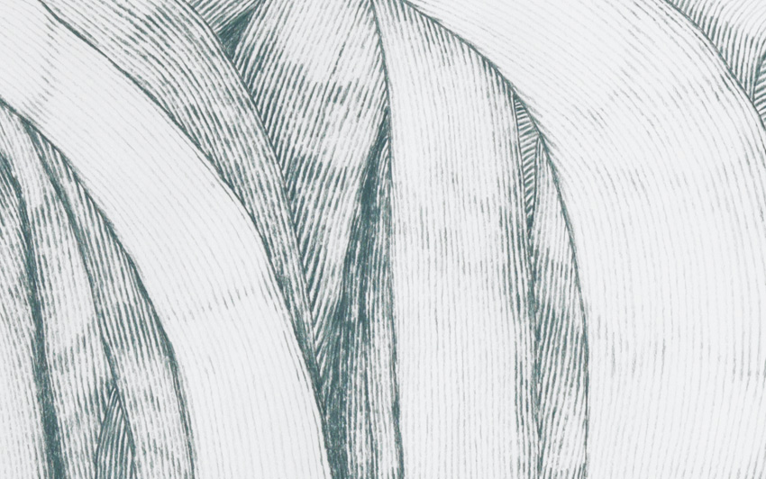 Gras_10/06