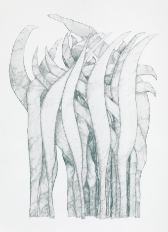 Gras_11/07