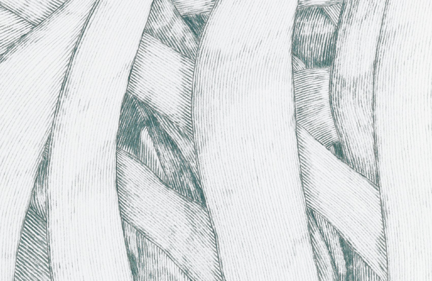 Gras_11/07