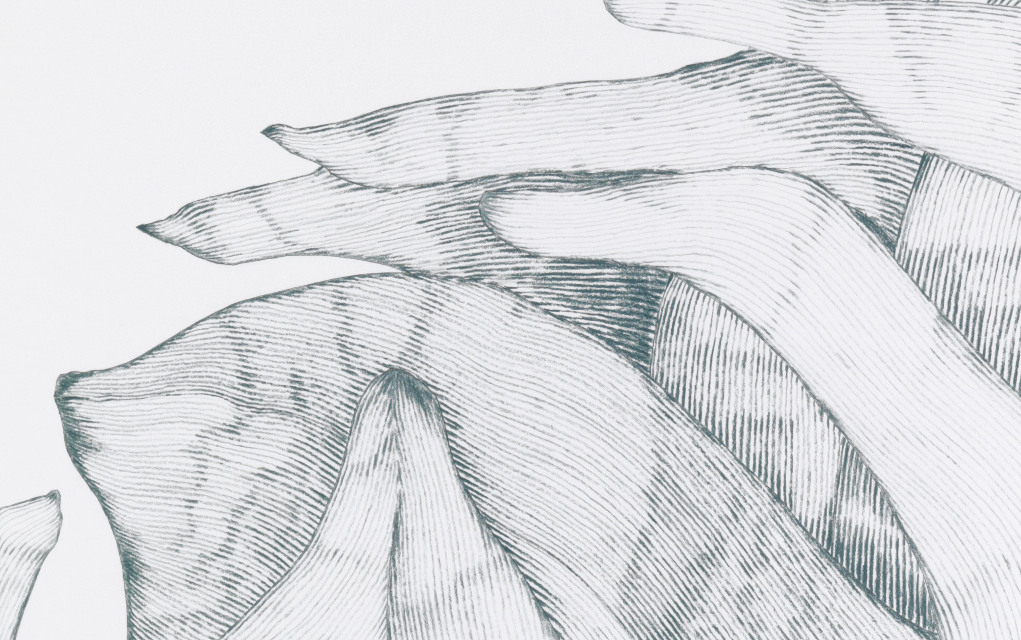 Gras_12/07