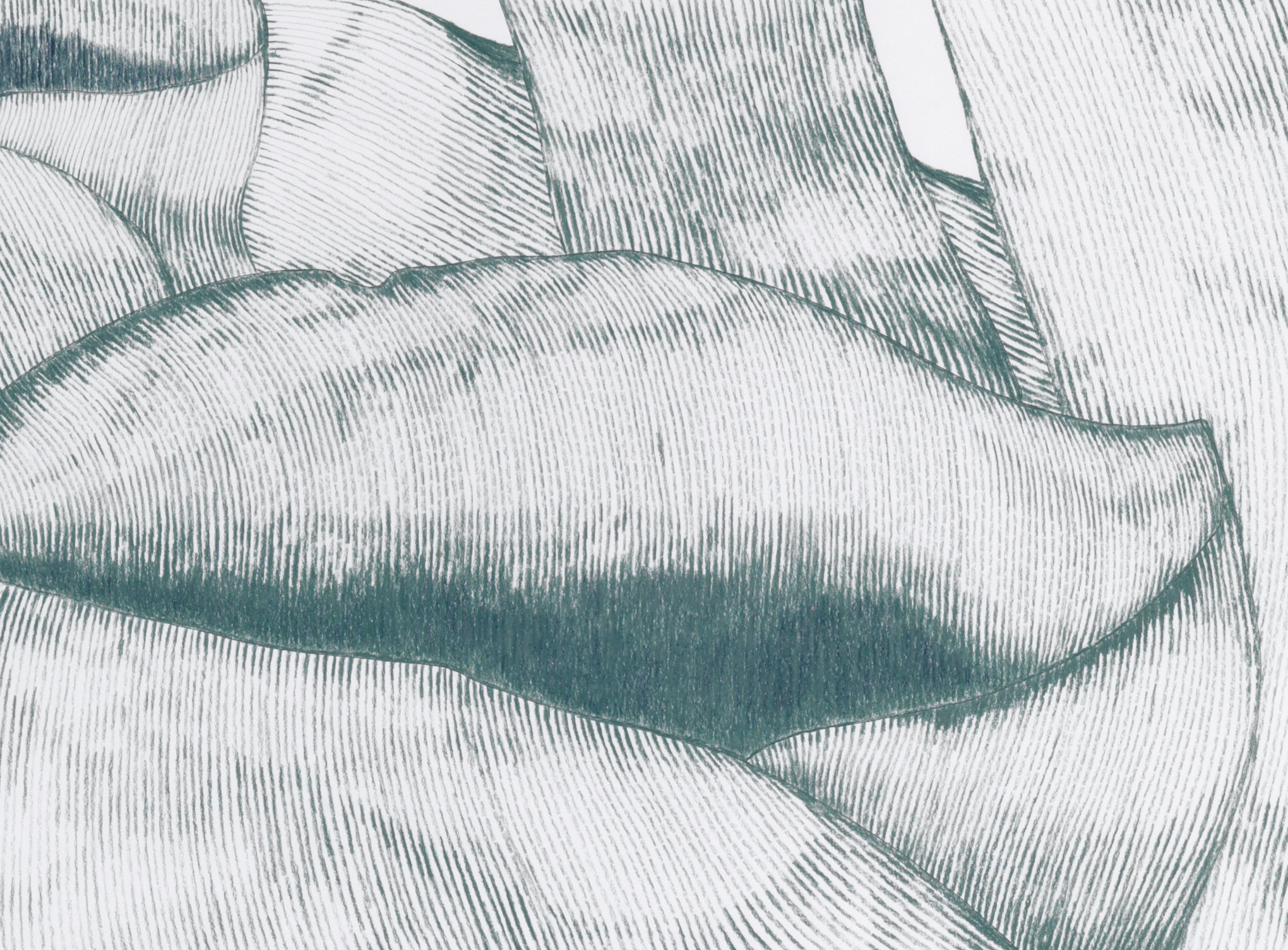 Gras_14/07