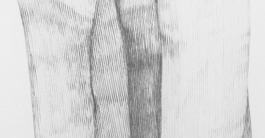 Gras_20/08_d