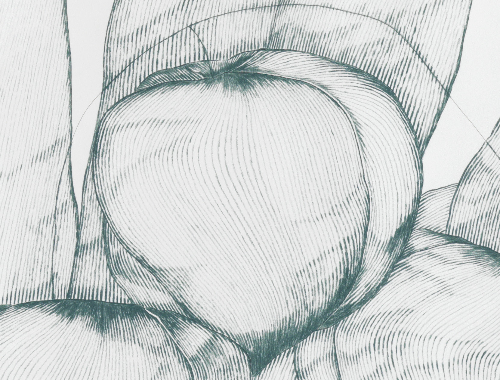 Gras_5/06