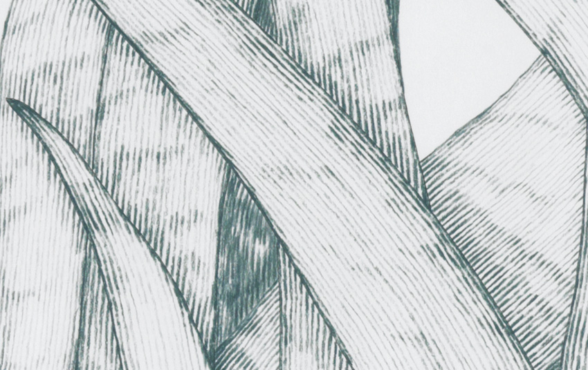 Gras_7/06