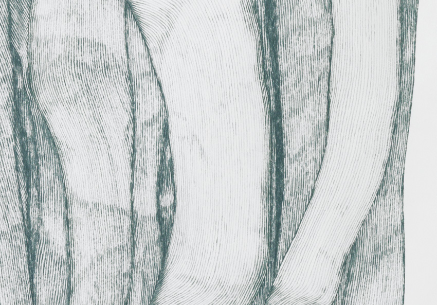 Gras_9/06