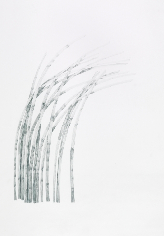 Gras_1/09